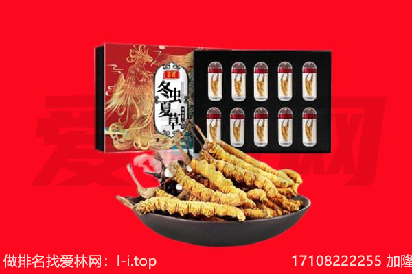 青岛回收虫草.jpg